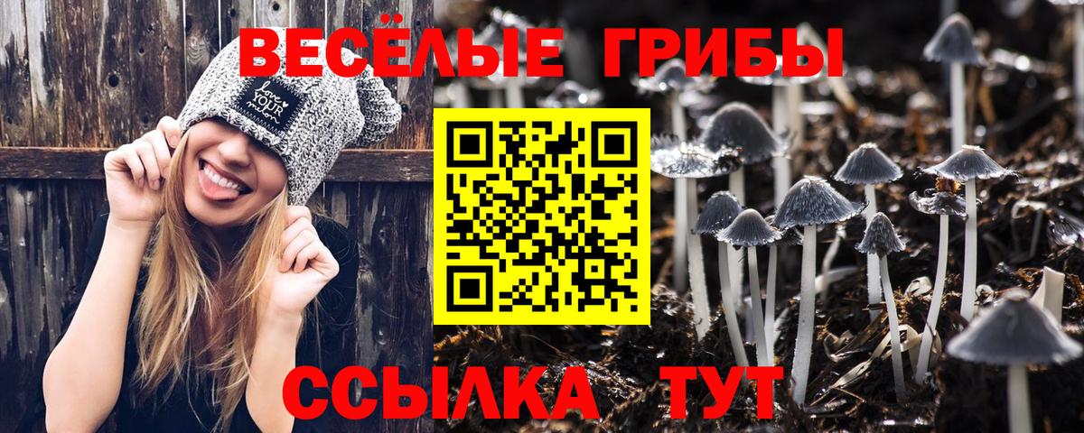 Псилоцибиновые грибы Psilocybe  Вход с VPN  Коряжма 